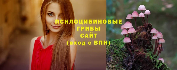ECSTASY Киреевск