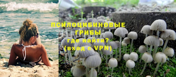 сатива Кинешма