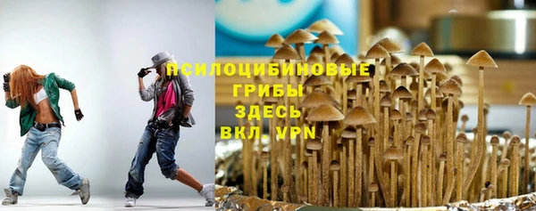 мяу мяу мука Касимов
