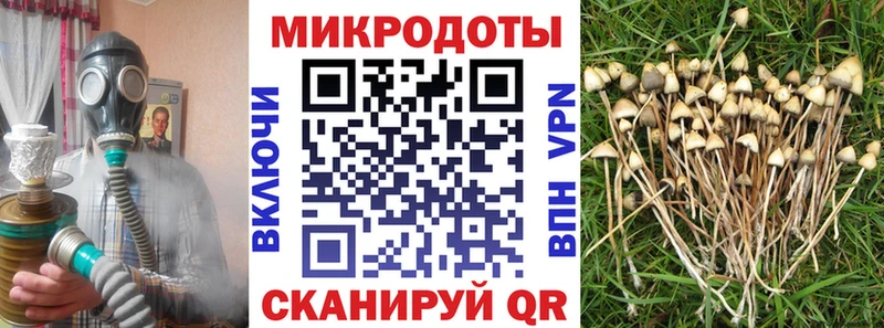 Галлюциногенные грибы Magic Shrooms сколько стоит Коммунар