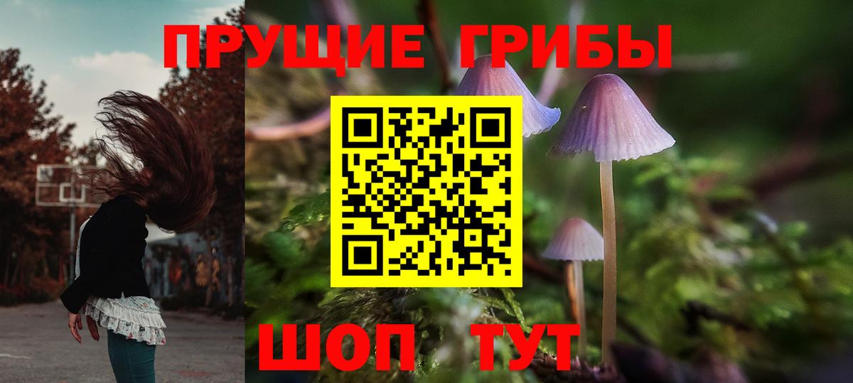 хочу наркоту  Коммунар  Галлюциногенные грибы MAGIC MUSHROOMS 